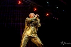 IMG_8031-copy