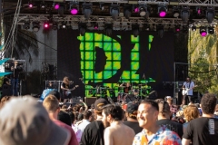 D2A7288
