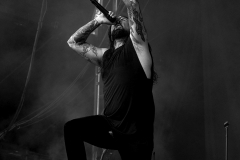 (C) Kylie Carns Photography