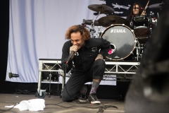 Fever 333-3139
