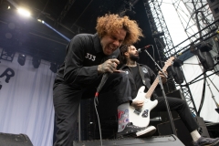 Fever 333-3180