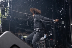 Fever 333-3193