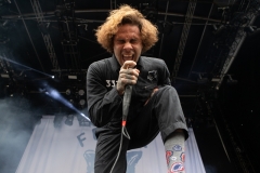 Fever 333-3275