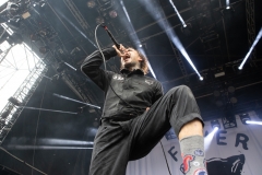 Fever 333-3338