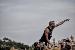 (C) Kylie Carns Photography