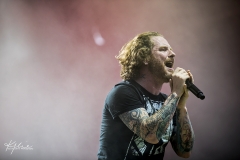 (C) Kylie Carns Photography