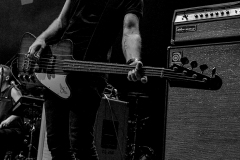 (C) Kylie Carns Photography