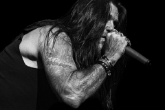 (C) Kylie Carns Photography