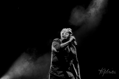 (C) Kylie Carns Photography