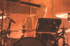 Jungle (8)
