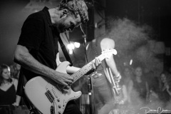 KingswoodNightCat-10