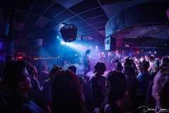 KingswoodNightCat-13