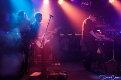 KingswoodNightCat-6