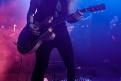 KingswoodNightCat-8