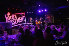 LeeHardingBirdsBasement04