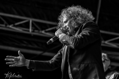 (C) Kylie Carns Photography