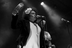 PaulKellySidneyMyerMusicBowlMelbourne16