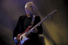 PaulKellySidneyMyerMusicBowlMelbourne26