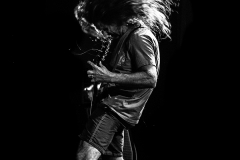 (C) Kylie Carns Photography