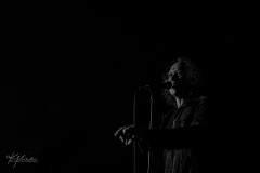 (C) Kylie Carns Photography