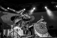 (C) Kylie Carns Photography