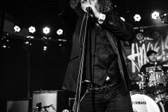 (C) Kylie Carns Photography