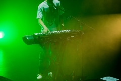(C)Mark Dickson