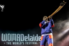 WOMADBakerBoyDay1-100322040-copy