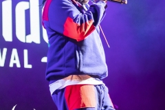 WOMADBakerBoyDay1-100322043