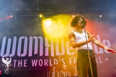 WOMADJeromeFarahDay1-14-copy