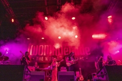 WOMADShaolinAfronautsDay1-100322047-copy