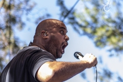WOMADDay-2Bullhorn014-copy