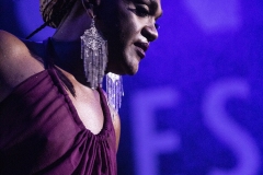 WOMADDay-3ElectricFields036-copy
