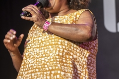 WOMADDay-3EmmaDonovan008-copy