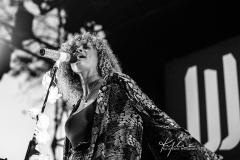 (C) Kylie Carns Photography