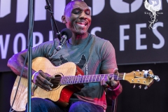 WOMADDay4CedricBurnside000-copy