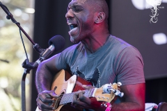 WOMADDay4CedricBurnside006-copy