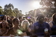 WOMADDay4Crowd107-copy