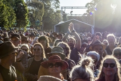 WOMADDay4Crowd108-copy