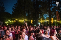 WOMADDay4Crowd109-copy