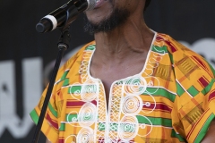 WOMADDay4Makepisi012-copy