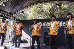 WOMADDay4Makepisi019-copy