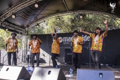 WOMADDay4Makepisi023-copy