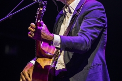 WOMADDay4PaulKelly099-copy