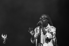 WOMAD23DAY3Sampa013-copy